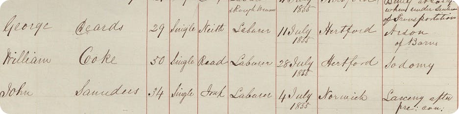 19th century sodomy crime record