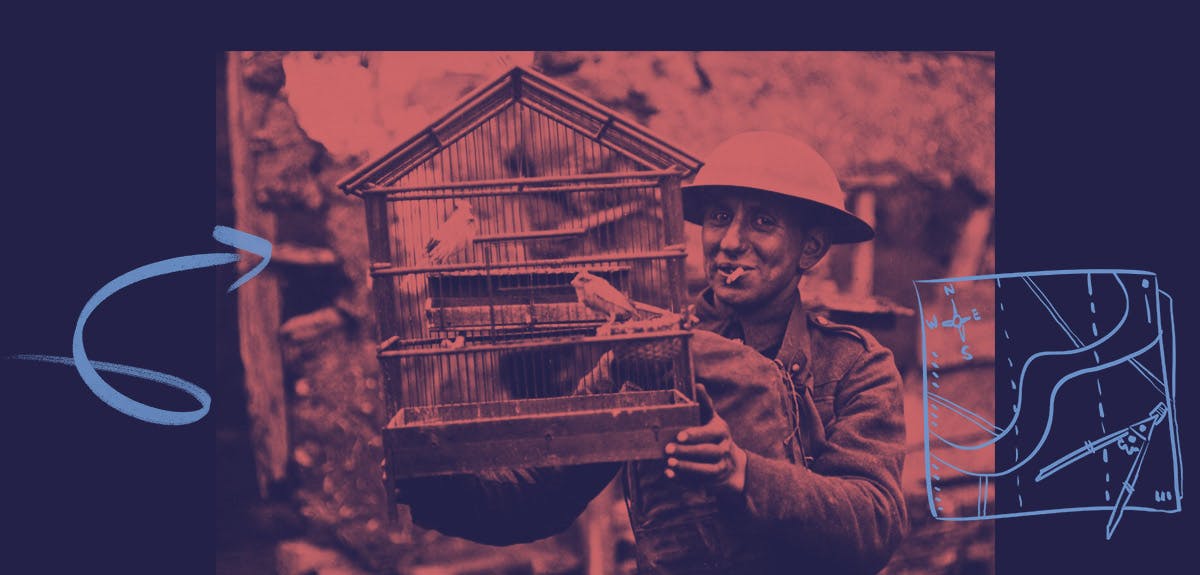 A solider with a budgie in a cage