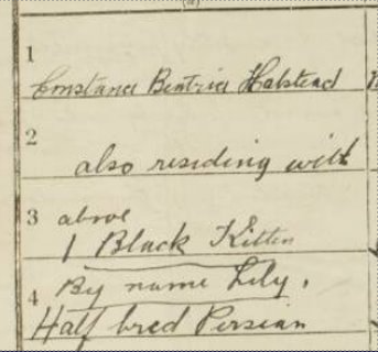 Beatrice's cat, listed four times.