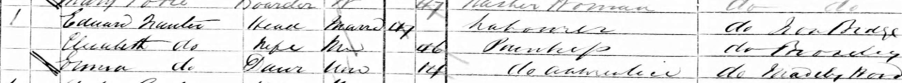 1871 Census image