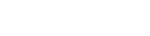 party casino logo