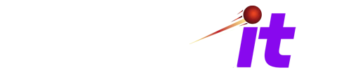 Puntit logo