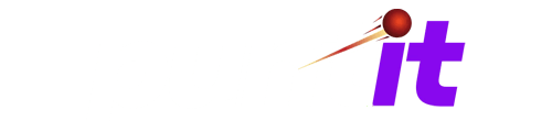 Puntit logo