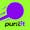 puntit icon