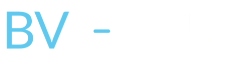 BV Group logo