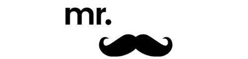 Mr Play logo new