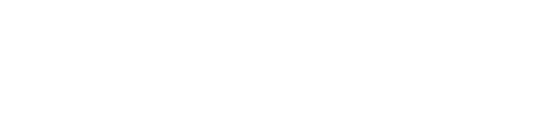 PlayWins logo