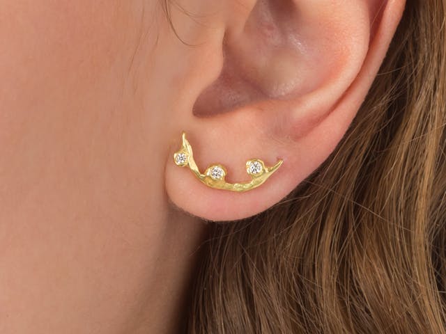 Diamond ear climbers