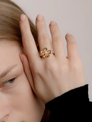 Sandberg Sweden Ringo Collection