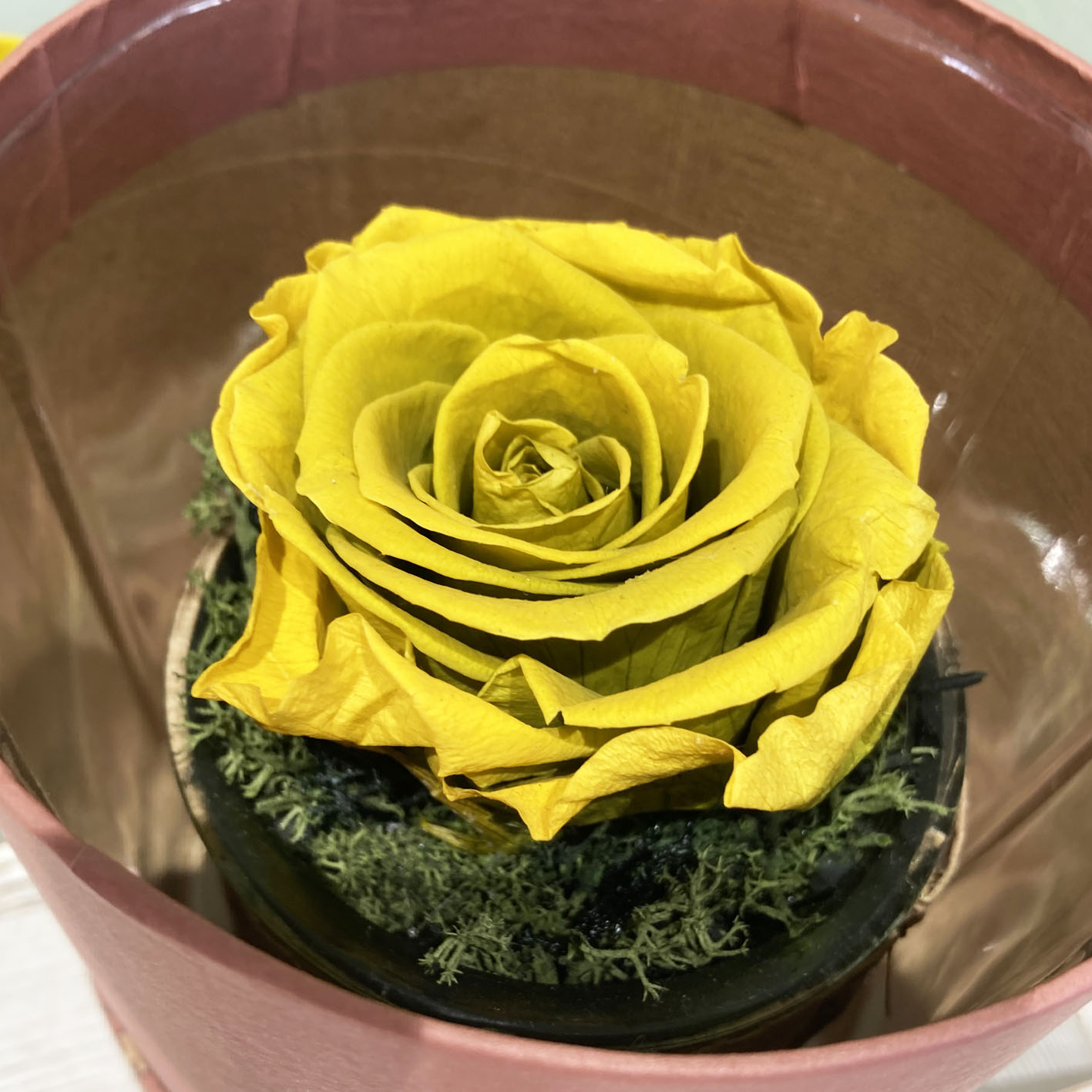 Rose Stabilizzate Giallo scuro