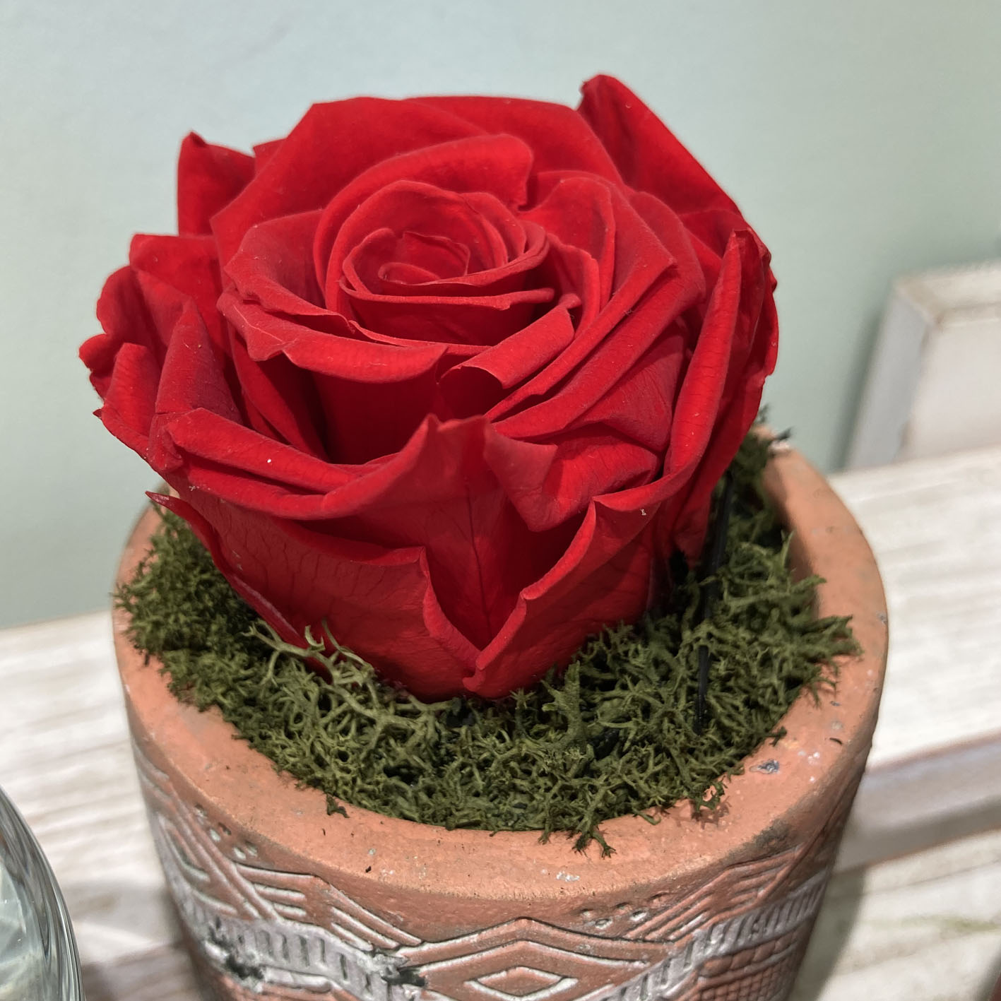 Rose Stabilizzate Rosso