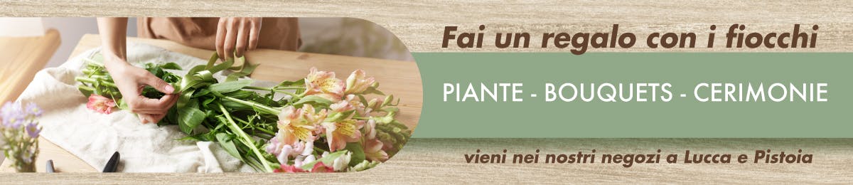 Fiori Fiori