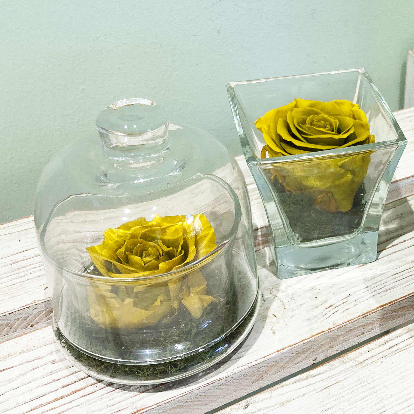 Rose Stabilizzate Giallo scuro