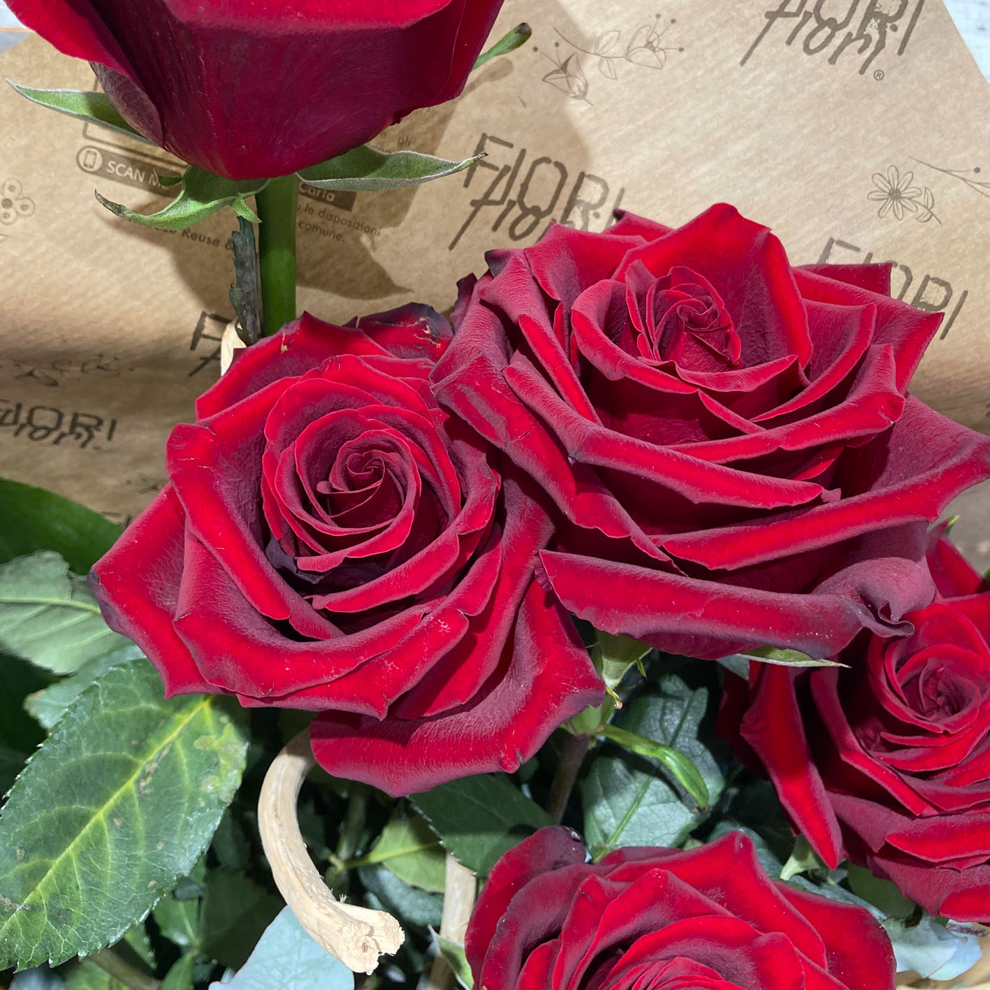 Fascio di Rose da 3-5-7 steli