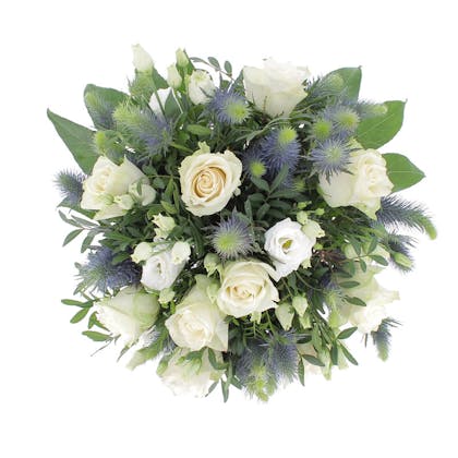 Felicità in Blu