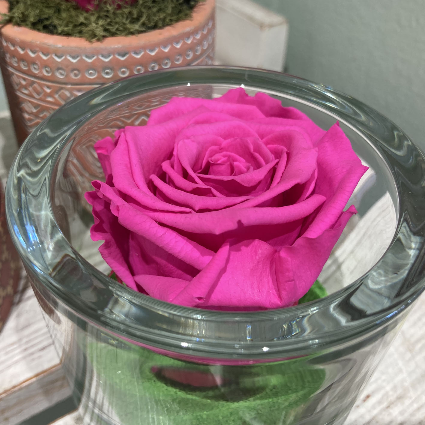 Rose Stabilizzate Fucsia