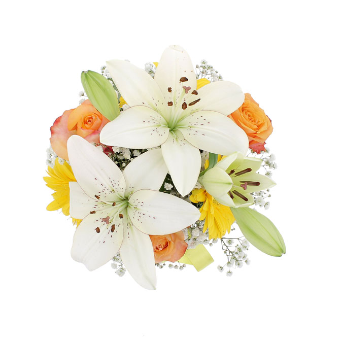 Cappelliera Romantica Tiffany