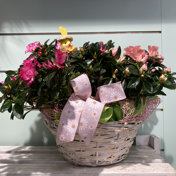 Cestino con azalee