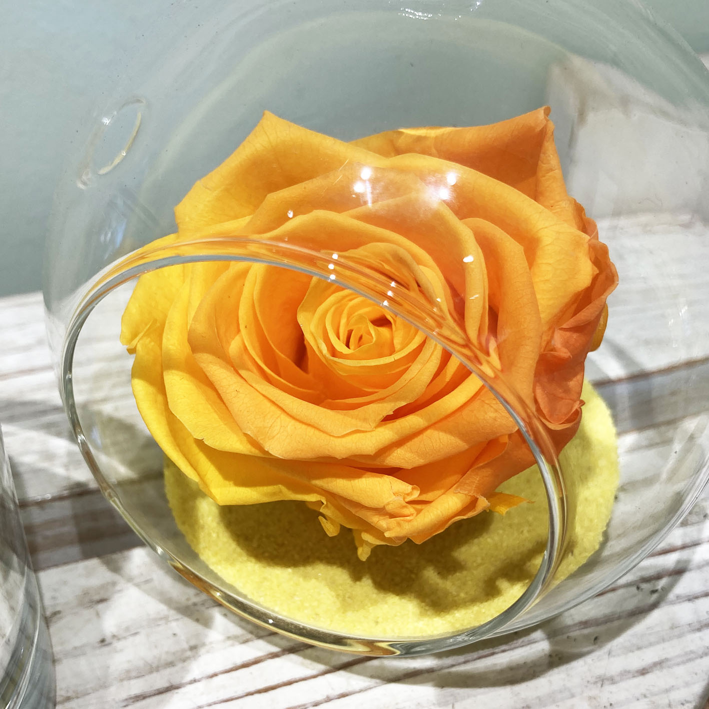 Rose Stabilizzate Arancione