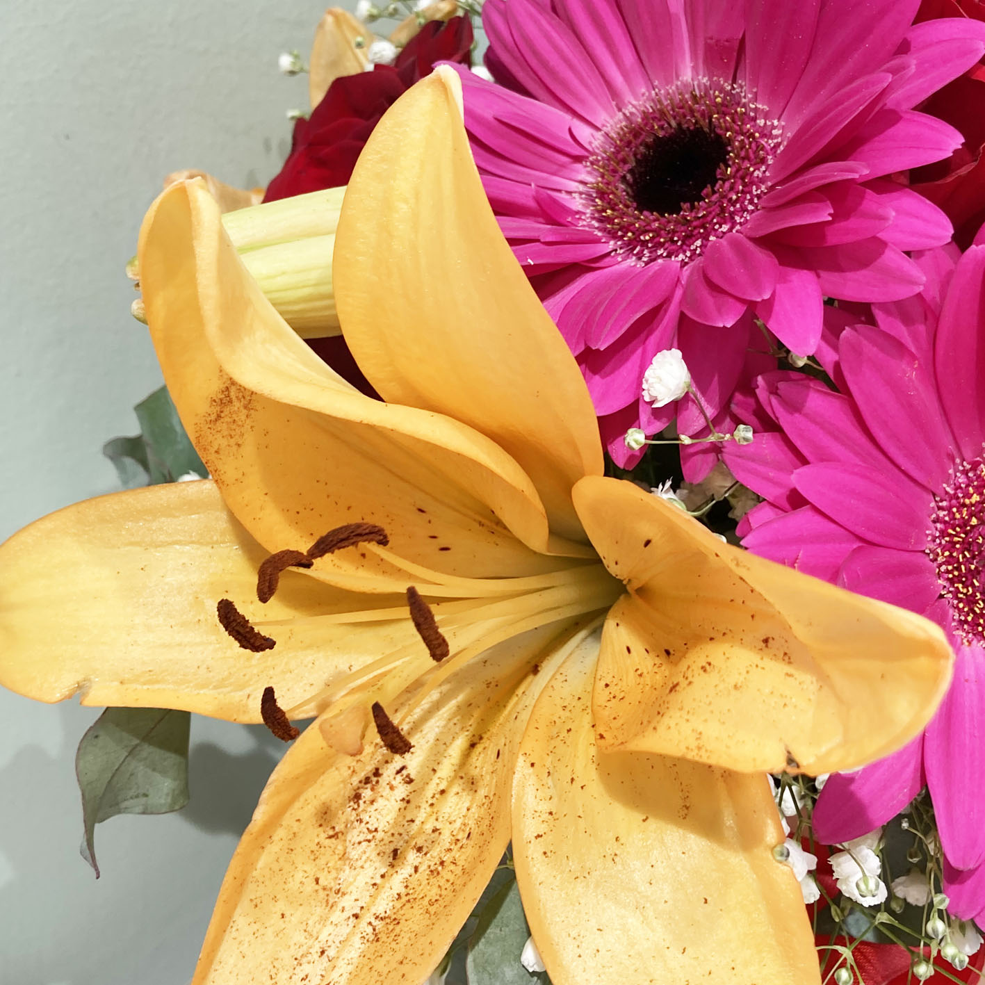 Cappelliera Romantica