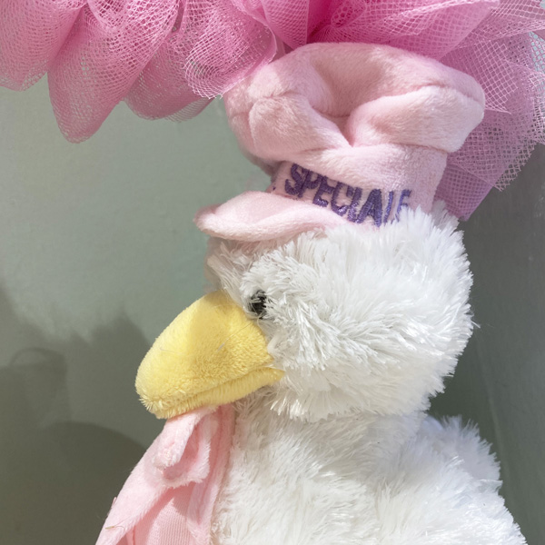 Coroncina nascita rosa