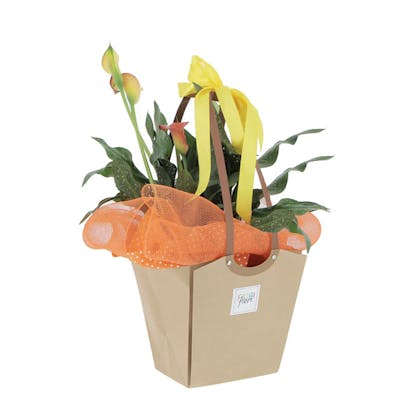 Calla in Borsetta