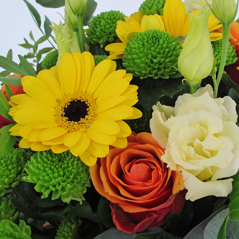 Pan di Zenzero-Fairtrade