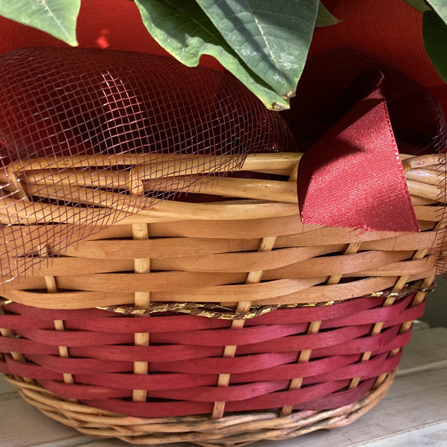 Cesto Stelle di Natale