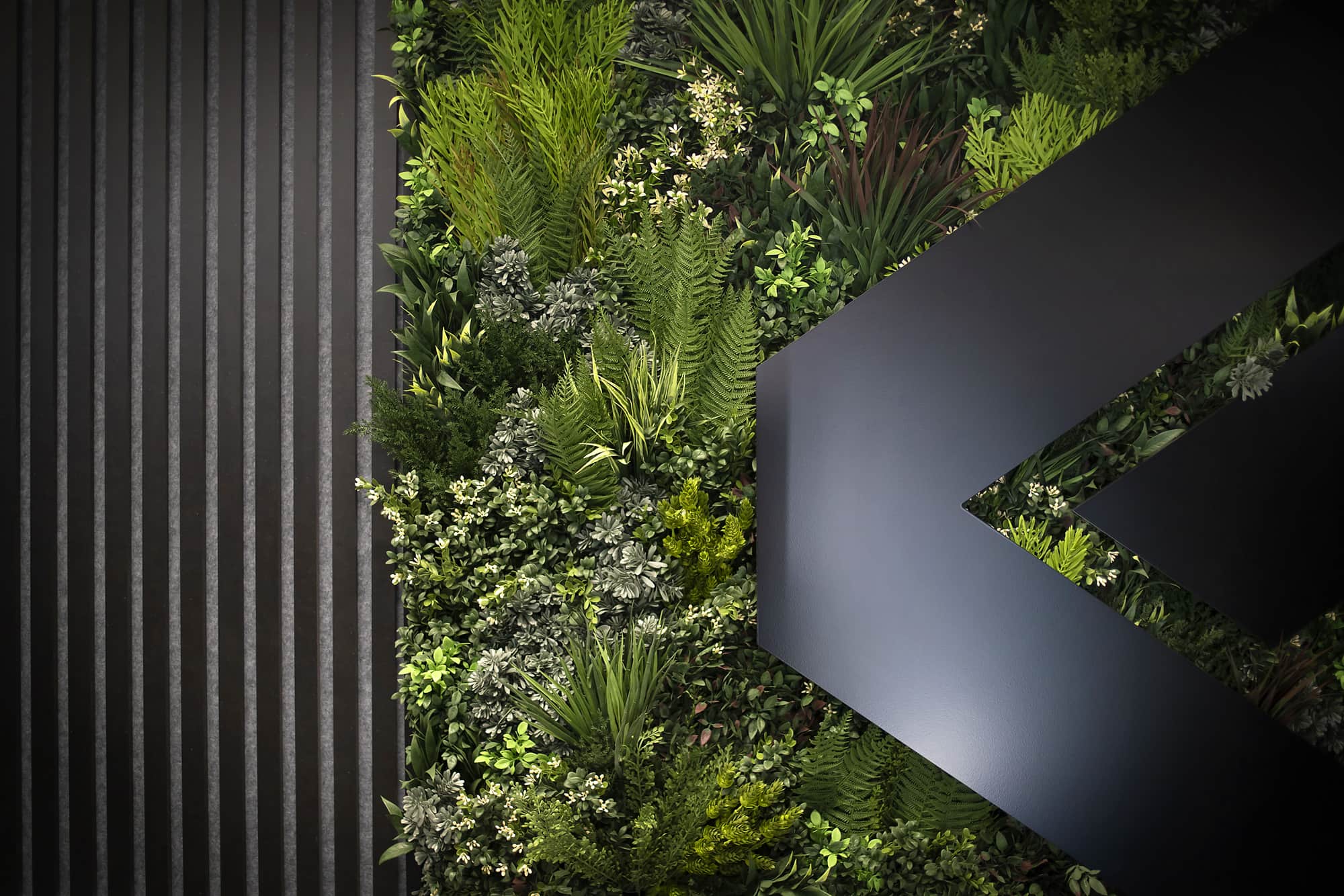 A Sustainable Today for a Brighter Tomorrow