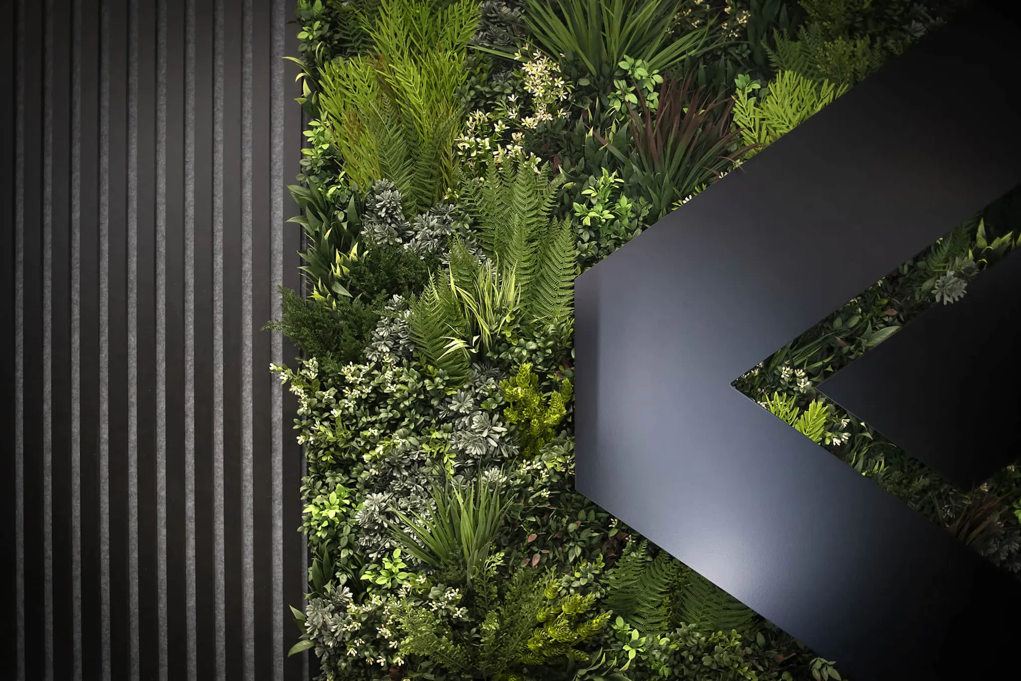 A Sustainable Today for a Brighter Tomorrow