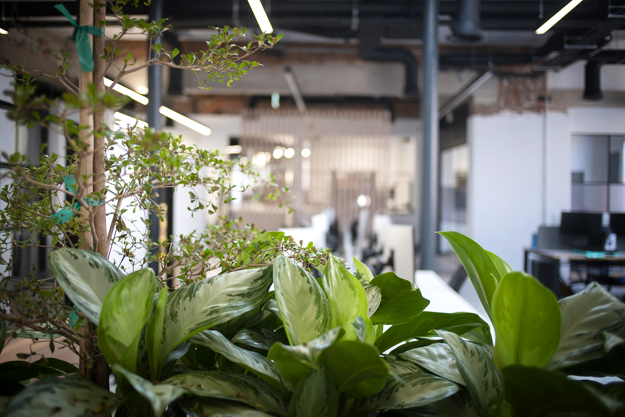 DE&I Workshop with Voice At The Table 