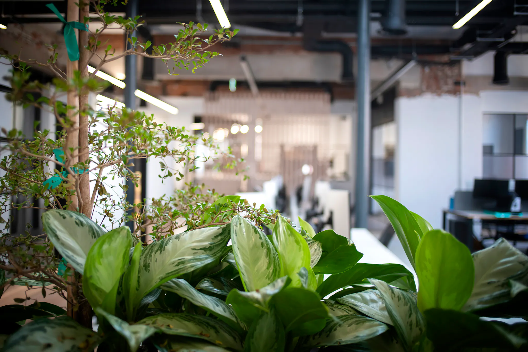 DE&I Workshop with Voice At The Table 