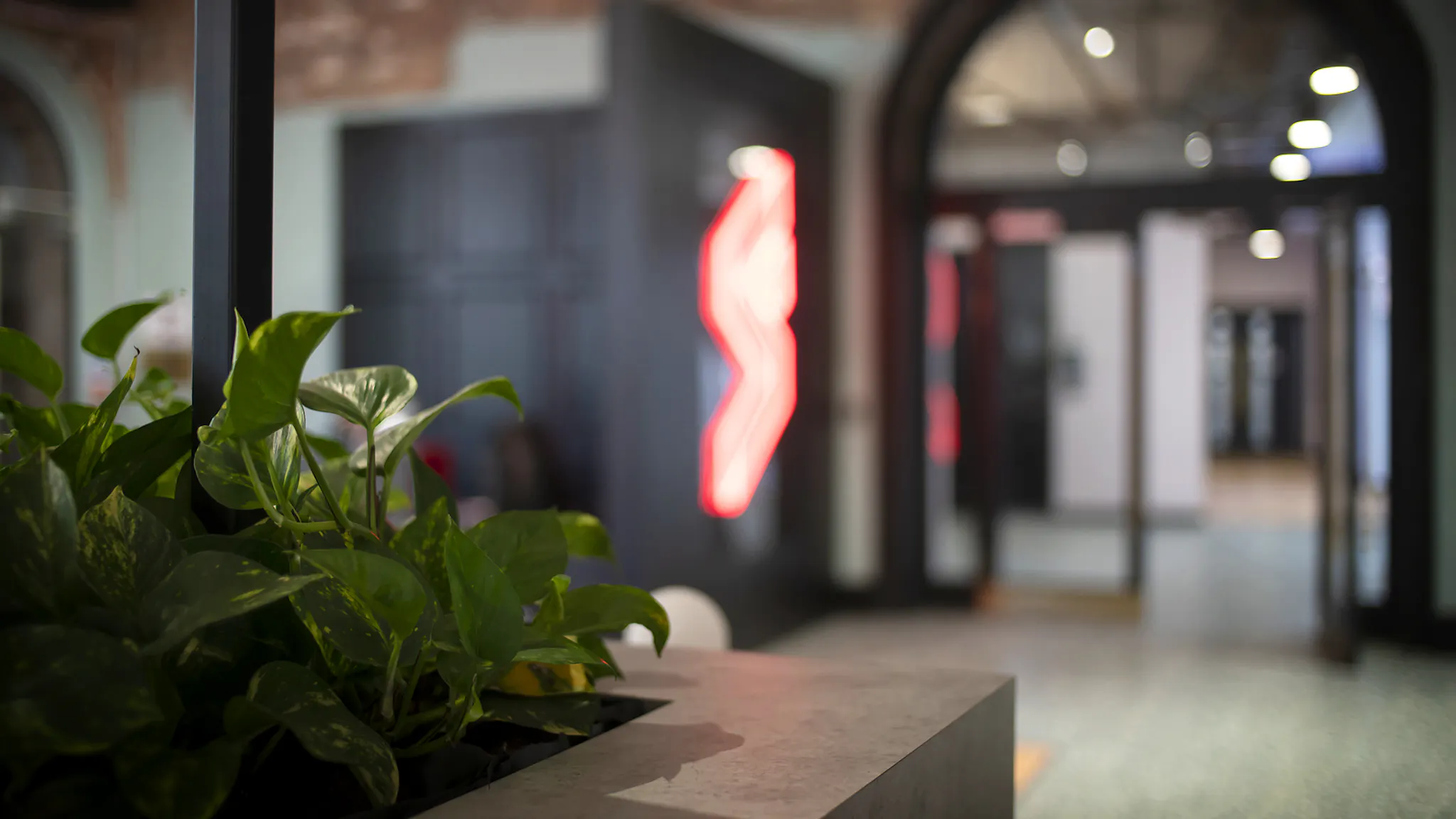 A game studio setting with plants up close, a large black archway and the Firesprite FS icon logo in neon red lights slightly out of focus in the backdrop. 