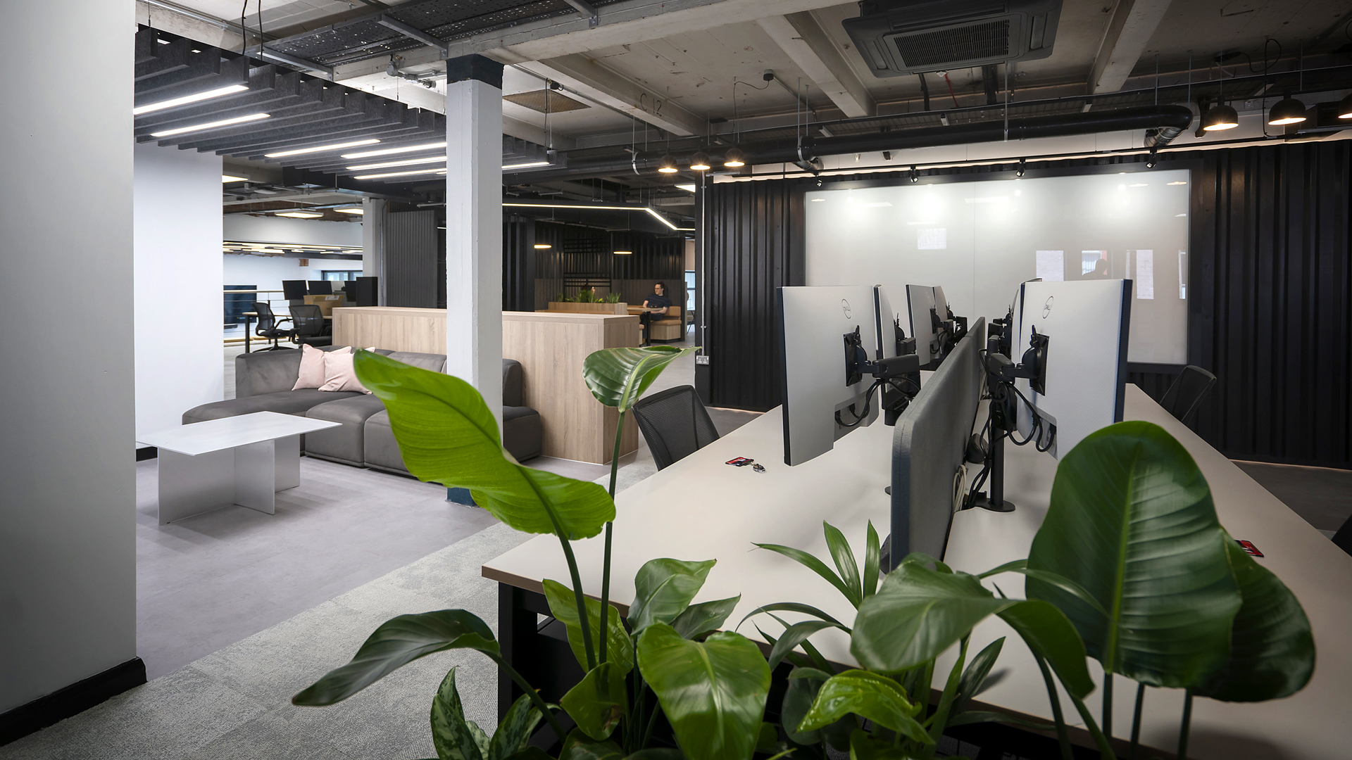 A bright white office setting with green plant up close, a row of PCs at desks and distant small team meeting in a booth. 