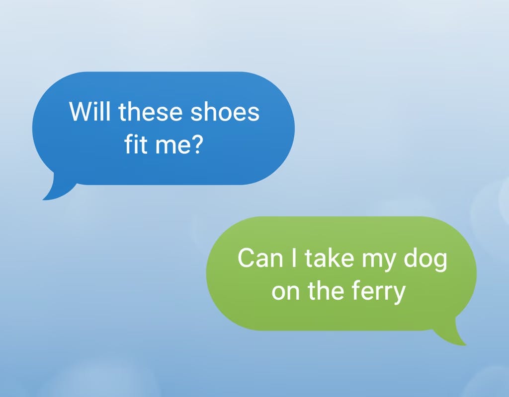 Conversational Commerce Questions