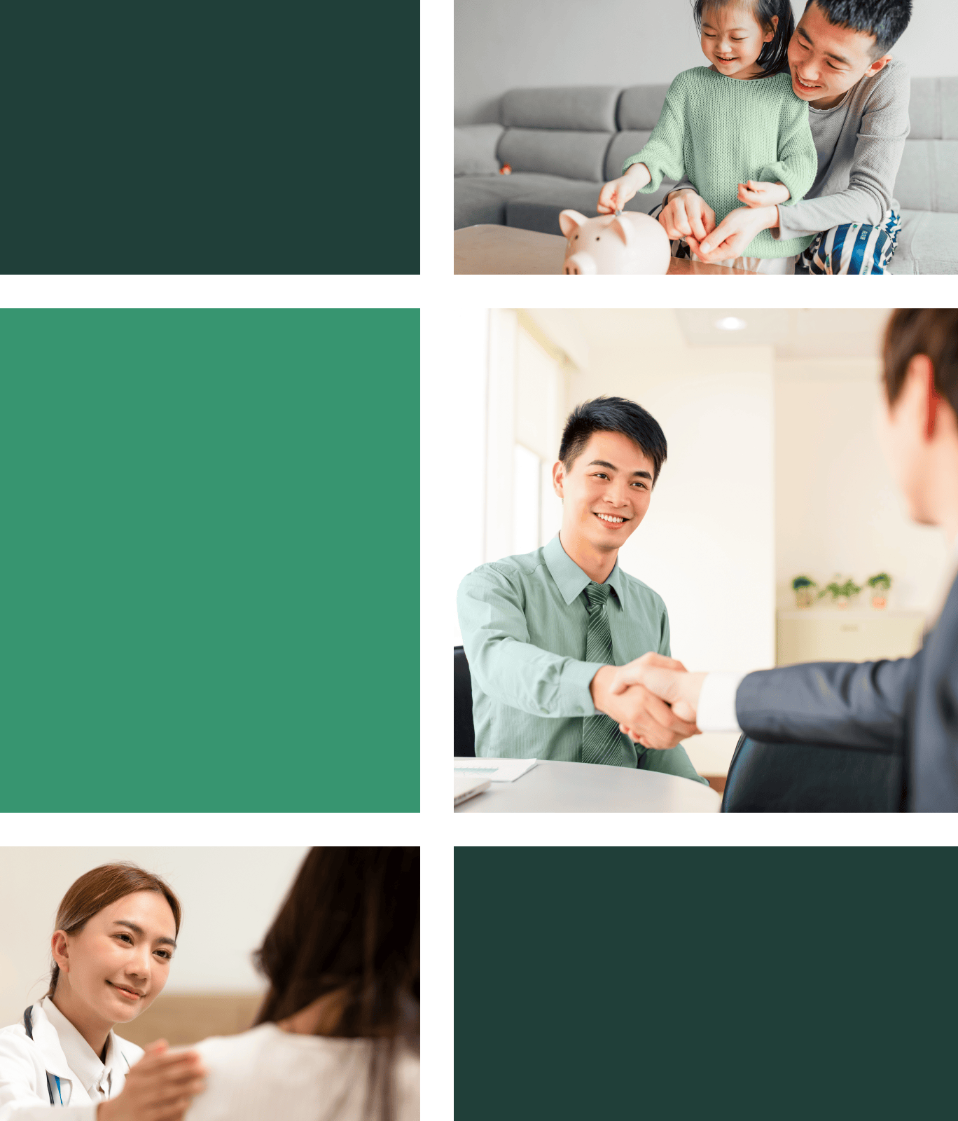 Life Insurance, Health Plans & Investments | First Life Insurance