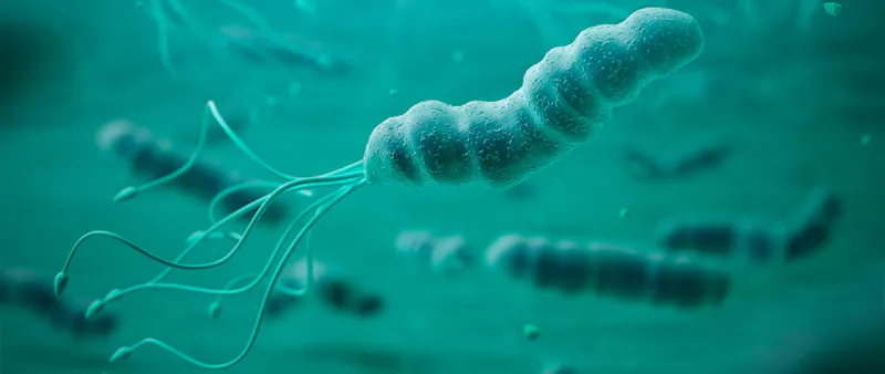 Prevén el Helicobacter Pylori