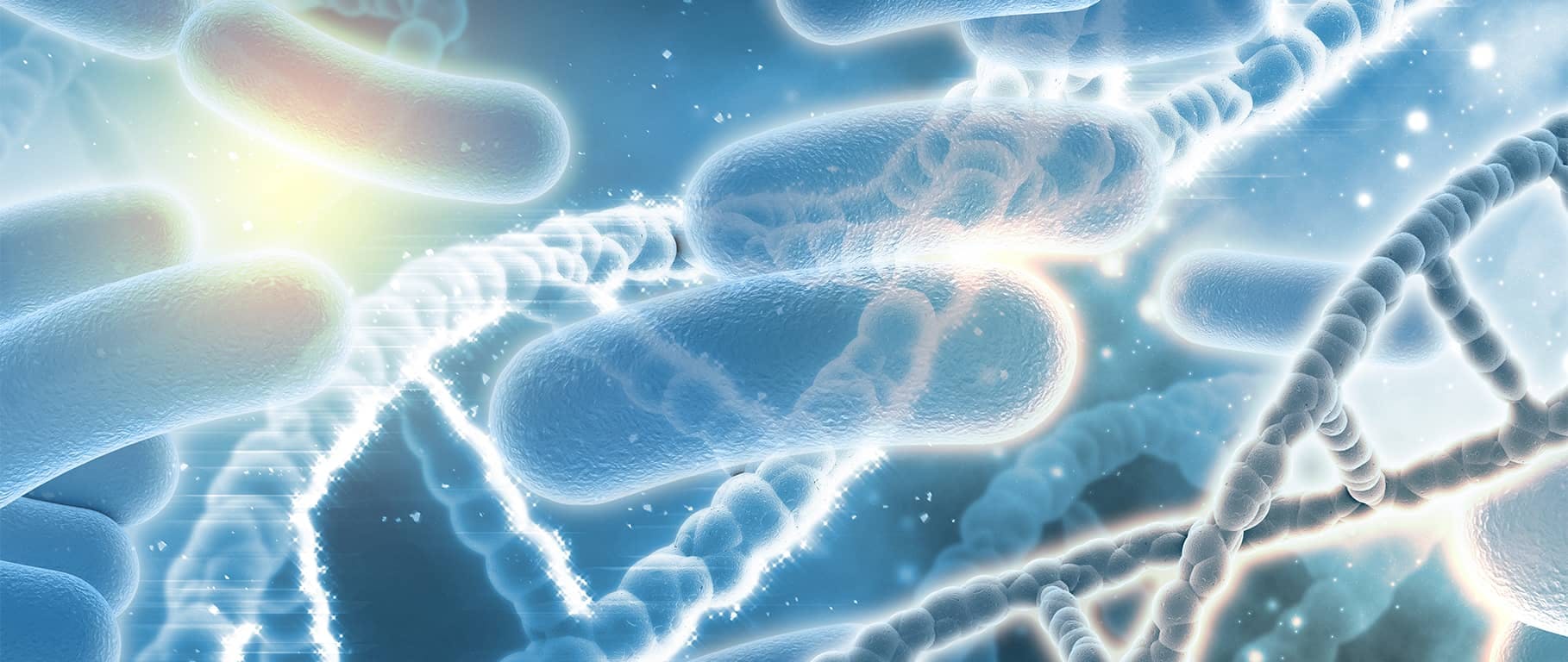 Mejora tu digestión con probióticos