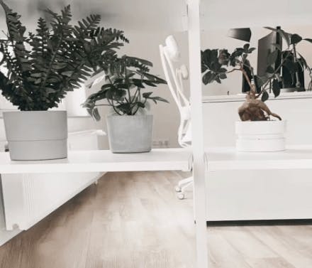 Office Braunschweig