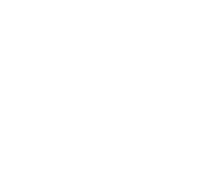 Nordflair logo