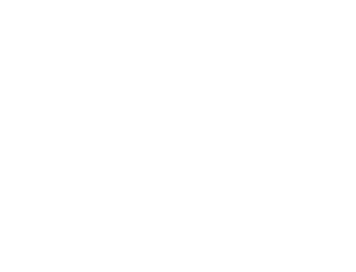 Nordflair Logo