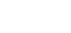 NOBLEX E-Optics logo