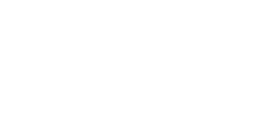 NOBLEX E-Optics Logo