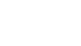 BVMW Logo