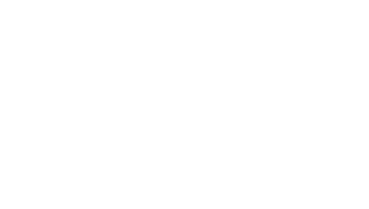 BVMW Logo