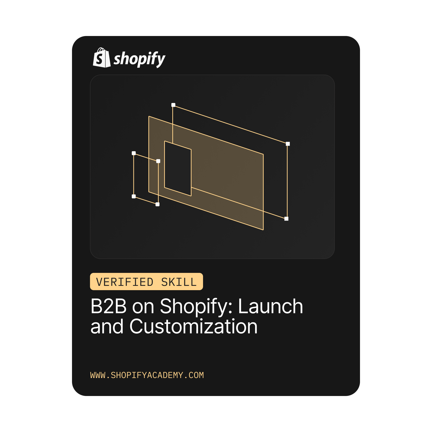 B2B on Shopify: Launch and Customization
