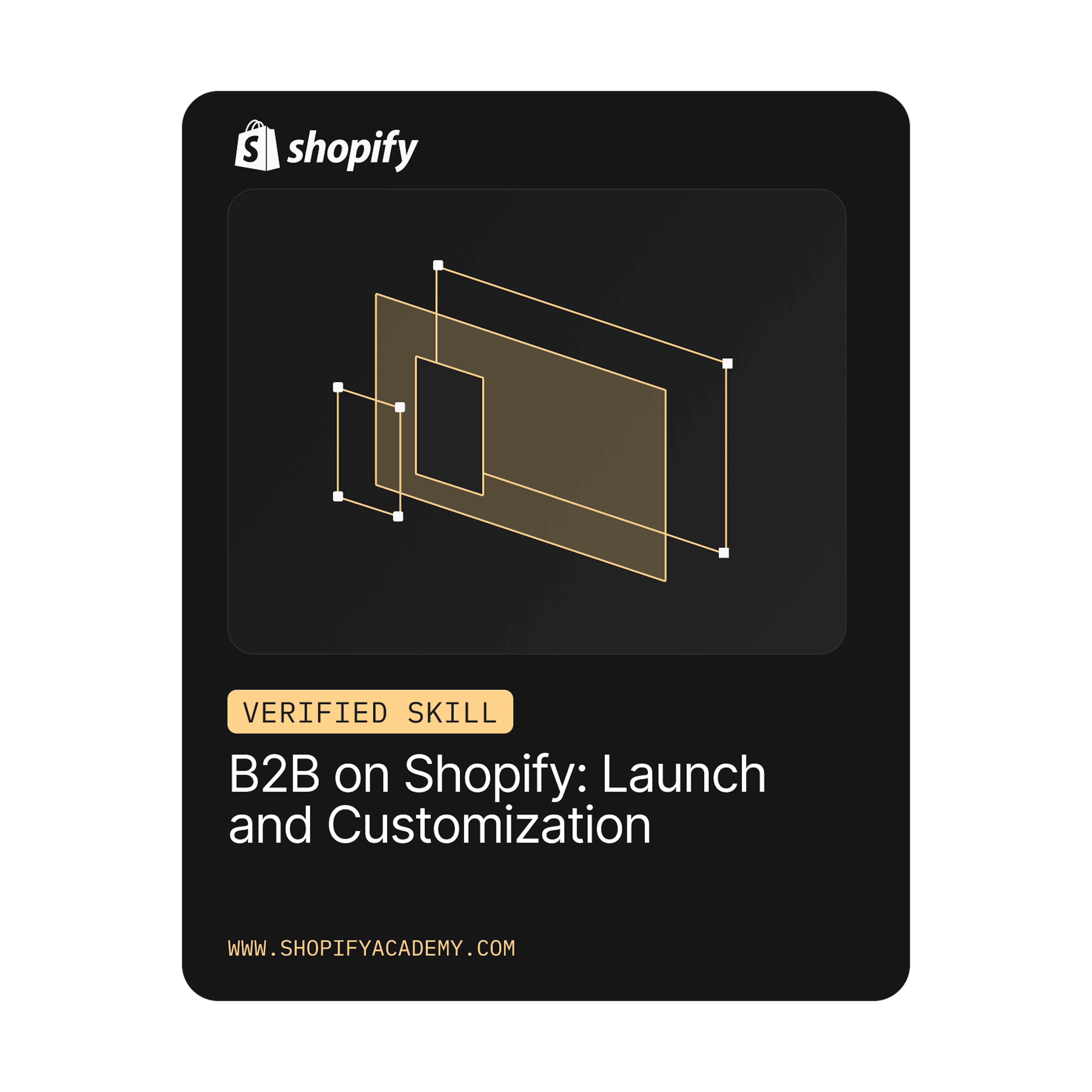 B2B on Shopify: Launch and Customization