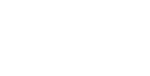 Shopify Partners
