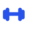 icon weights