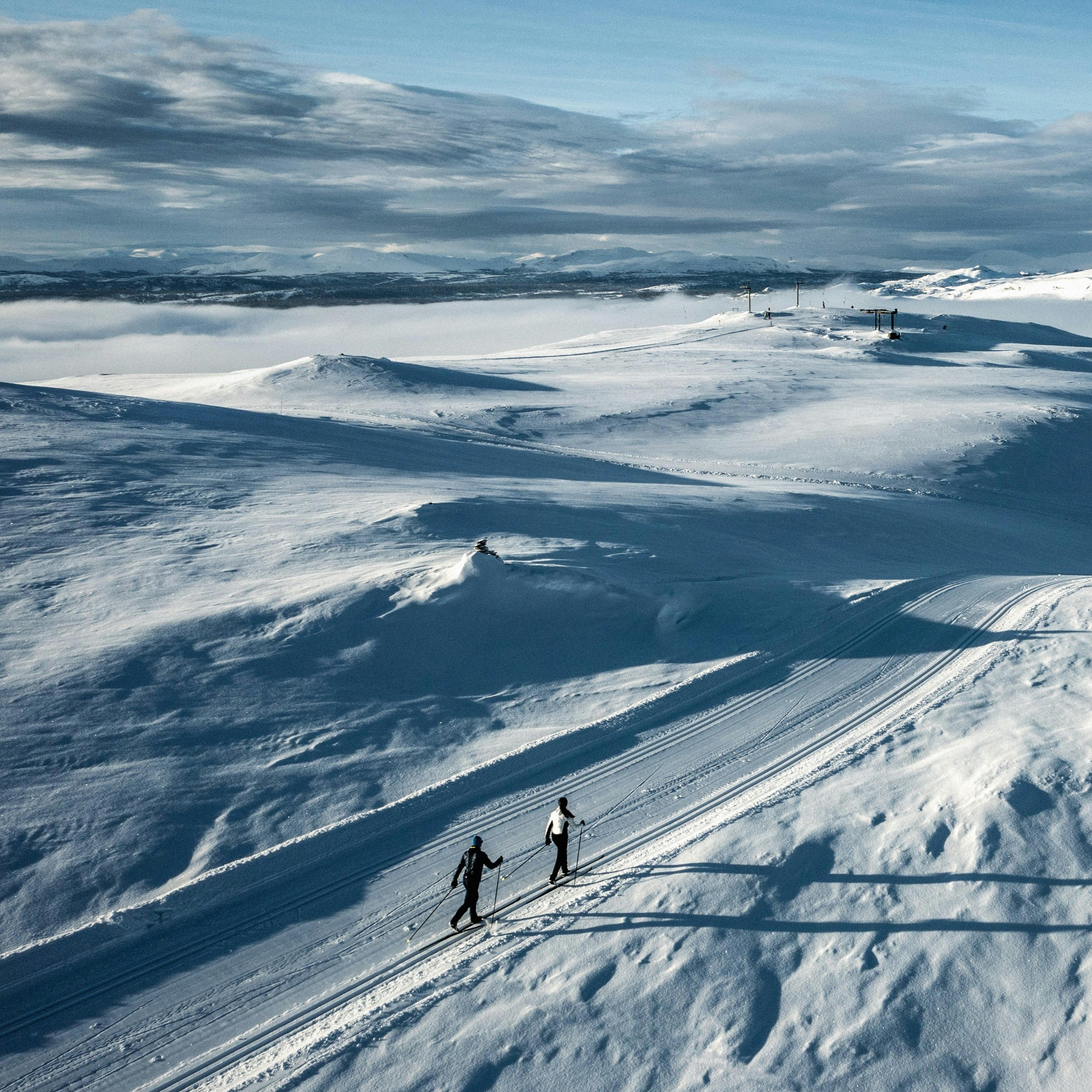 What type of crosscountry skis should I buy? United States (English)